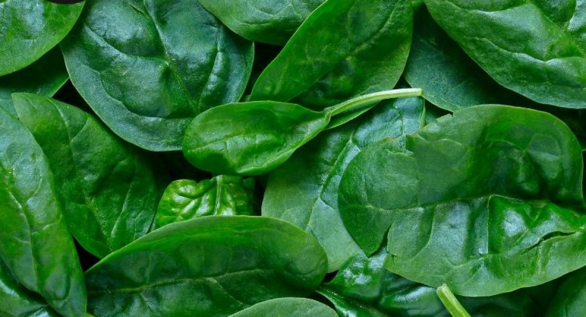 Everyday Superfoods